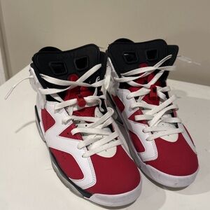 2020 Air Jordan Carmine 6 sz 8.5